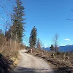 Alie Gusta Апартаменты *