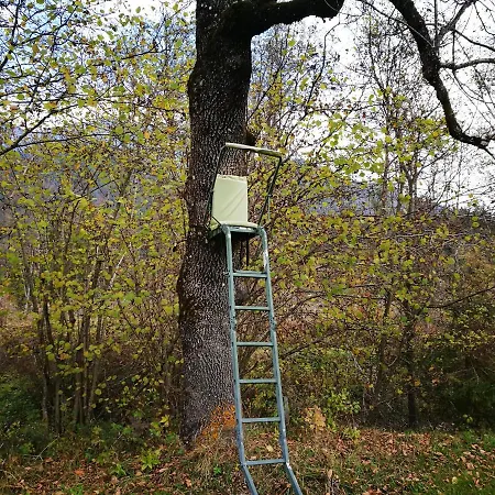 アパート Alie Gusta ヘルマゴル