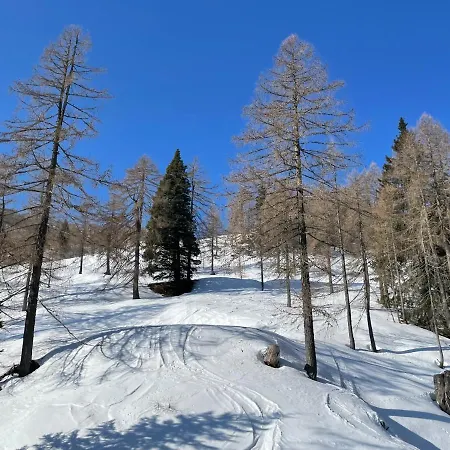 Alie Gusta アパート