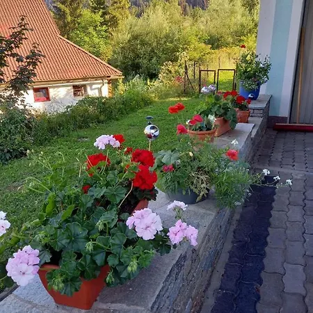 アパート Alie Gusta