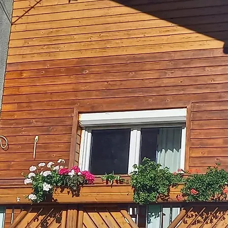 Alie Gusta Хермагор