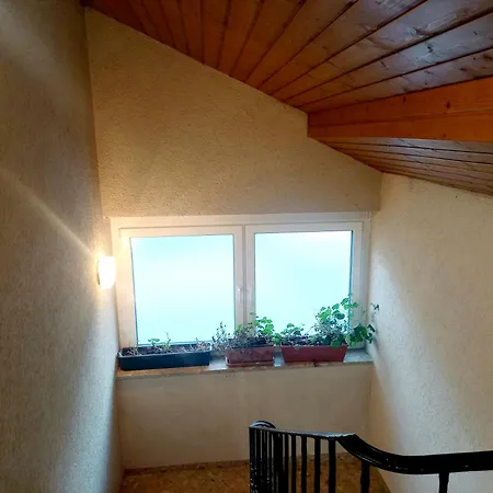 Alie Gusta アパート *