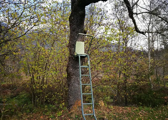 Appartement Alie Gusta Hermagor-Pressegger See