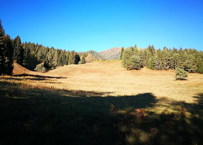 Apartamento Alie Gusta *