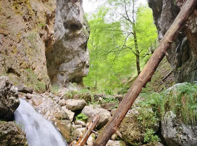 Apartamento Alie Gusta *