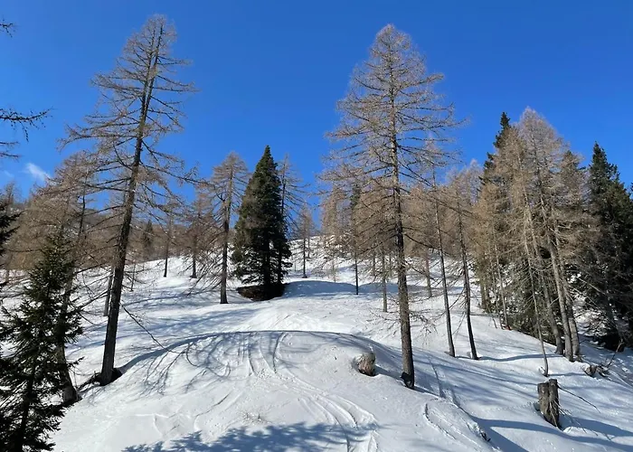 Alie Gusta Apartamento