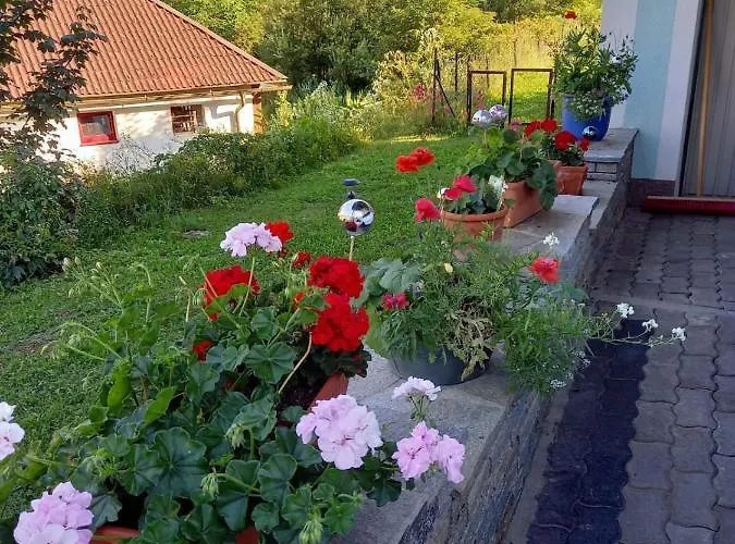 Apartamento Alie Gusta