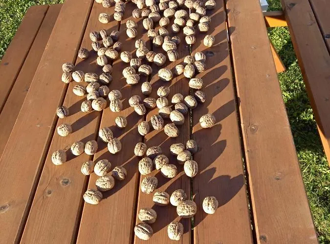 Alie Gusta * Hermagor-Pressegger See