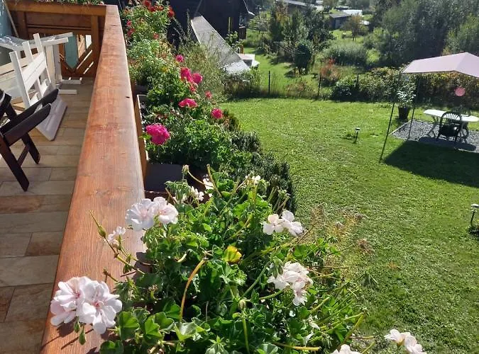 Alie Gusta Apartamento