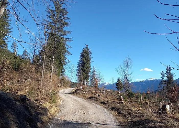 Alie Gusta Apartamento *