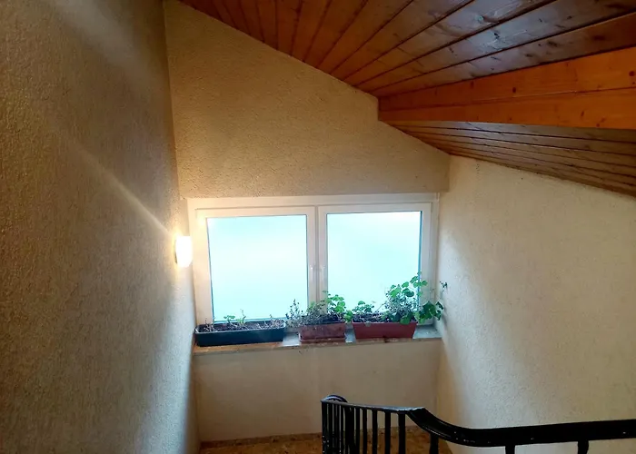 Alie Gusta Apartamento *